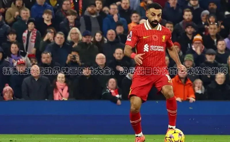 辉达官网百度教育精美足球运动员壁画图片大全，赏心悦目的体育艺术收藏推荐