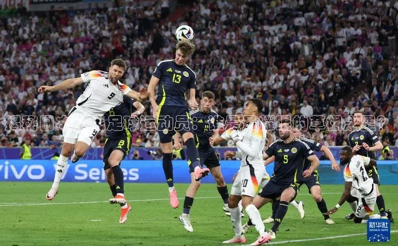 辉达注册官网入口登录百度百聘揭秘日本平民足球运动员：谁是最耀眼的草根之星？