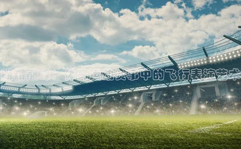 翱翔巅峰：体育运动赛事中的飞行表演艺术