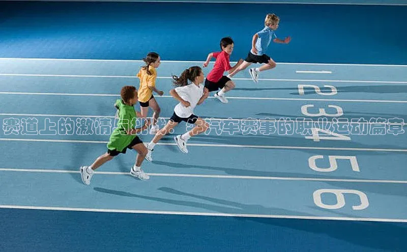 赛道上的激情与挑战：牛汽车赛事的职业运动篇章