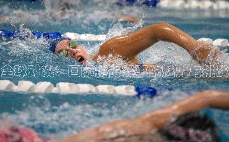 全球对决：国际搏击赛事的魅力与挑战