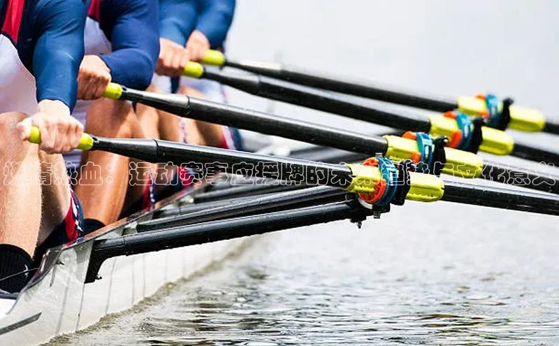 燃情热血：运动赛事应援牌的未来趋势与文化意义