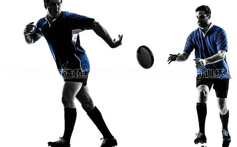 飞跃巅峰：打造顶级运动表现的赛事专用运动训练鞋