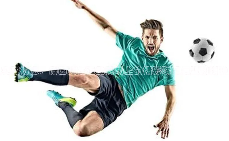 突破极限：傅园慧在运动赛场上的精彩瞬间与坚韧精神