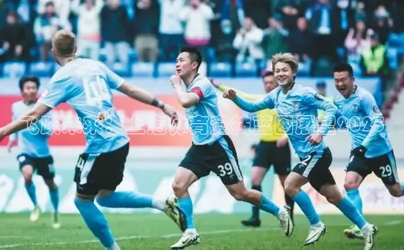 飞跃未来：上海体育竞技蓝图展望2025