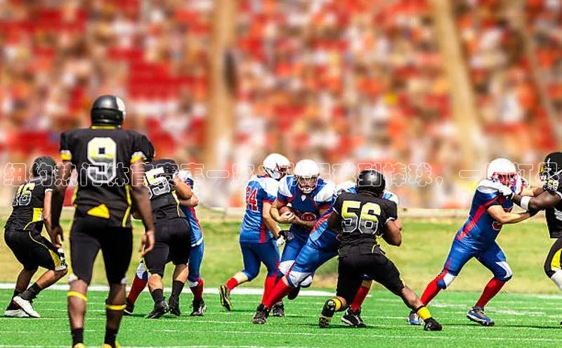 纽约热门体育赛事一览：从足球到棒球，一网打尽