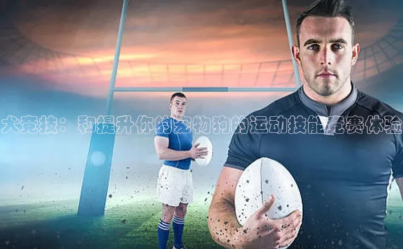 犬竞技：和提升你的宠物狗的运动技能竞赛体验