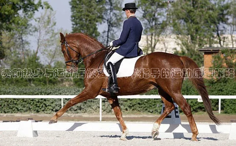 赛前热身与运动后恢复：科学指导的运动康复策略