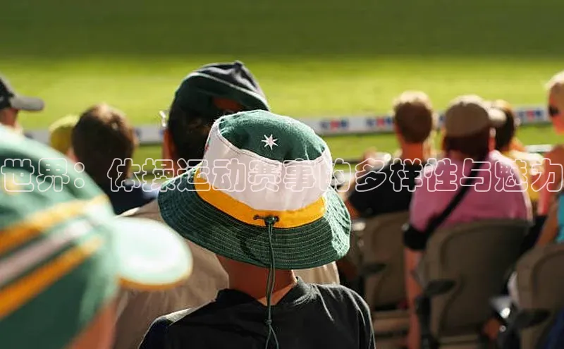 世界：体操运动赛事的多样性与魅力