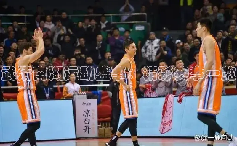 辉达注册账号入口